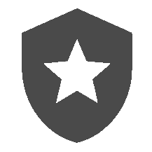 badge icon
